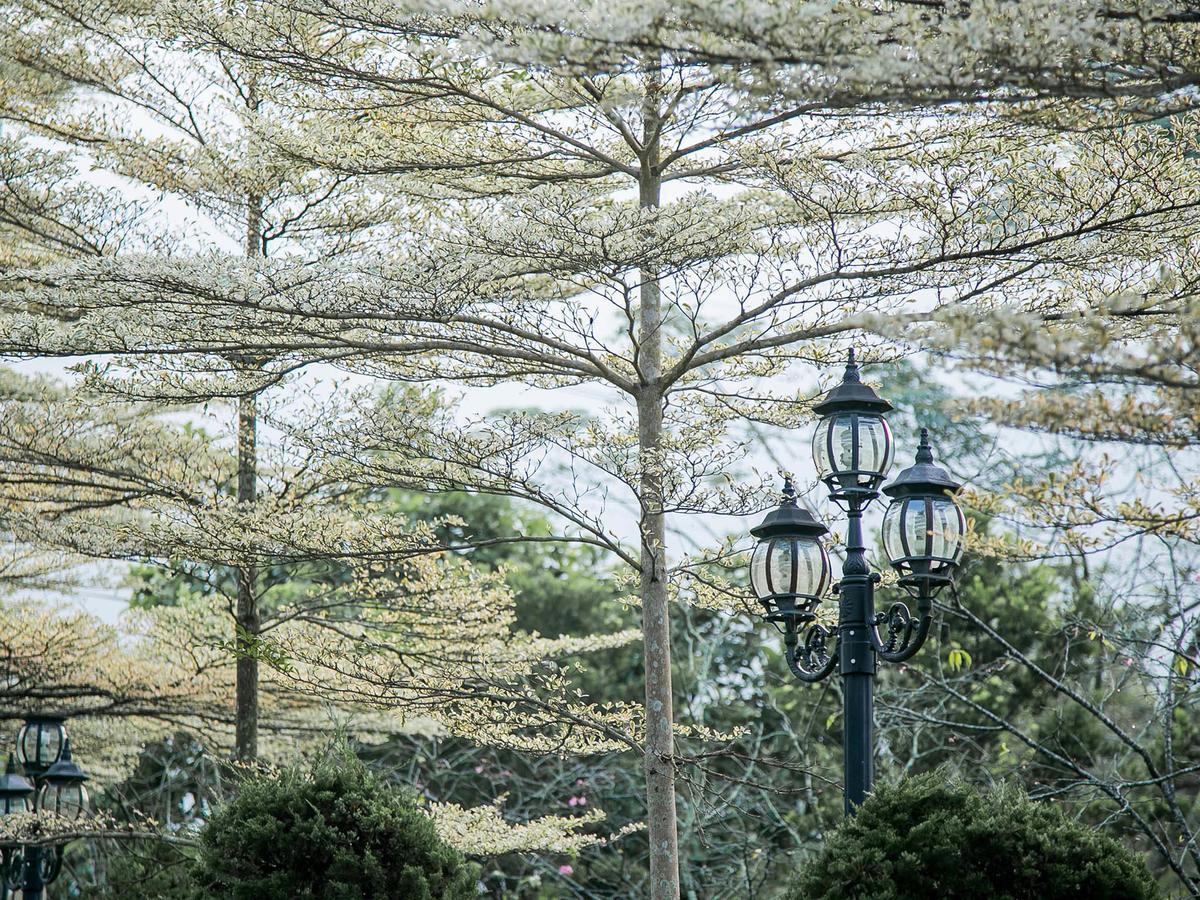 Flying Villa Nantou Esterno foto